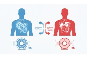 Cardiac MRI vs CT Which Scan Is Better for Heart Imaging and Why - Created by PostDICOM